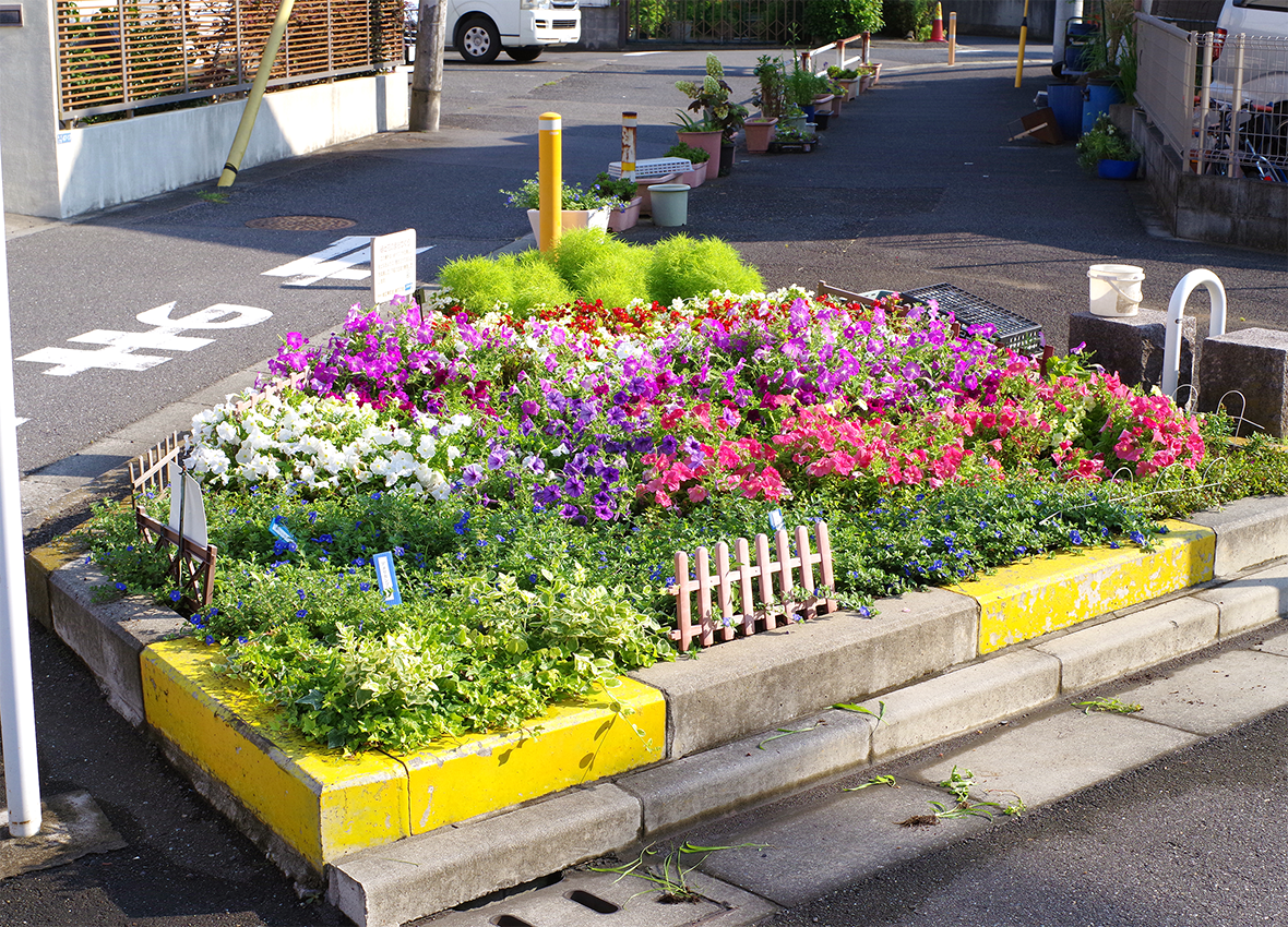 区内の花の名所 画像4