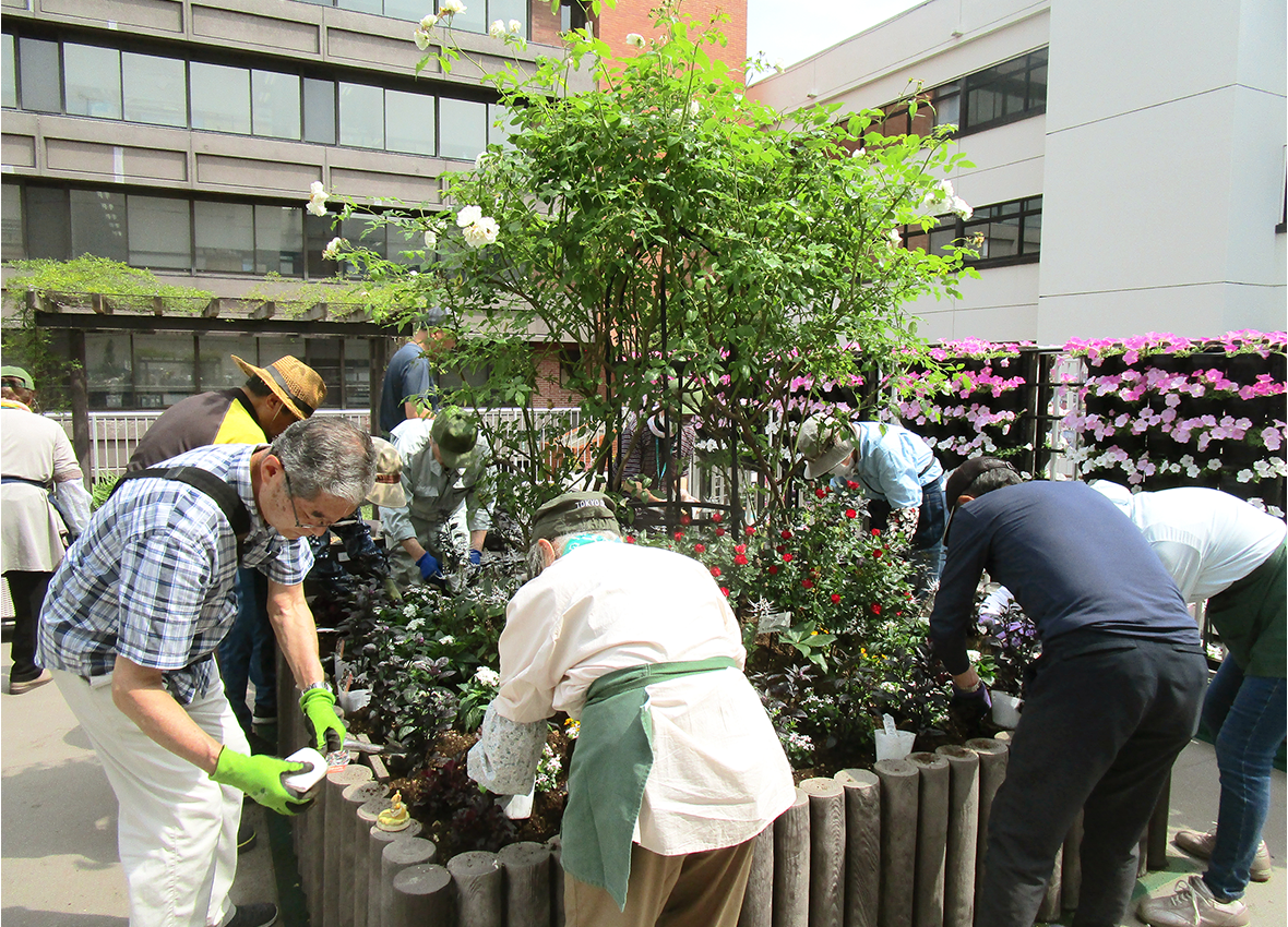 区民の花壇 画像2