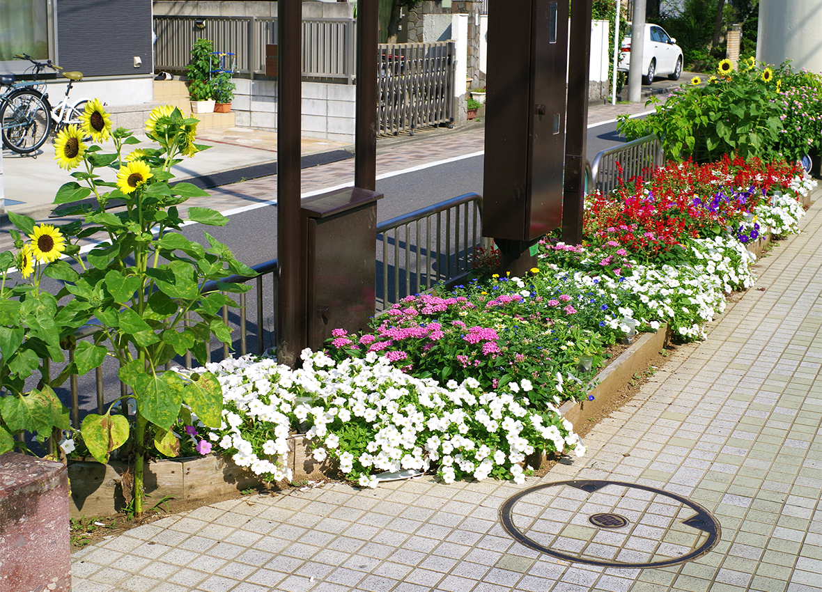 区内の花の名所 画像2