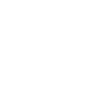 華やかなオープニング式典