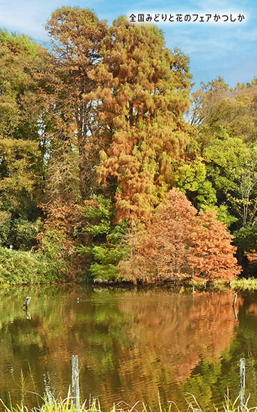 メインビジュアル②