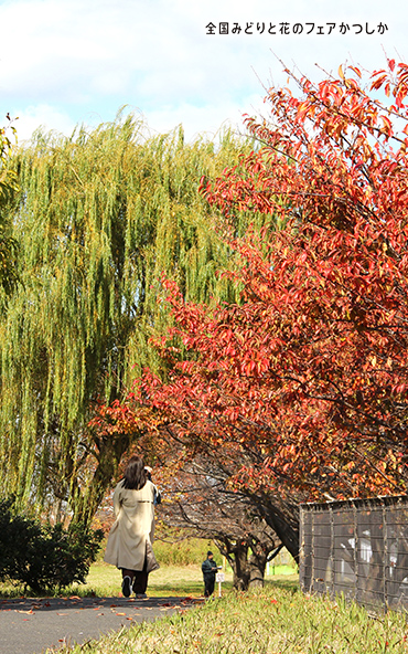 メインビジュアル④