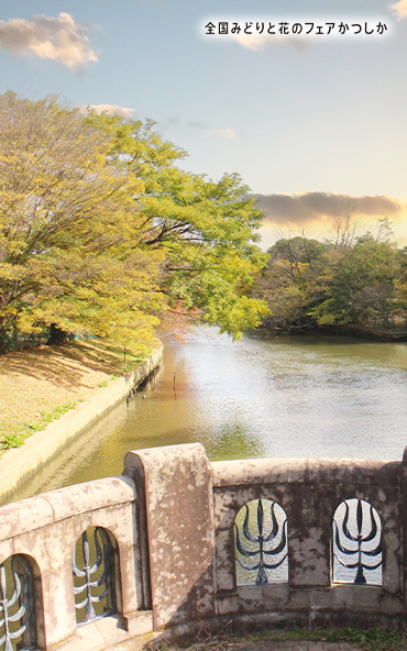 メインビジュアル⑤