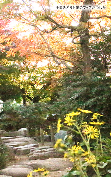 メインビジュアル⑥