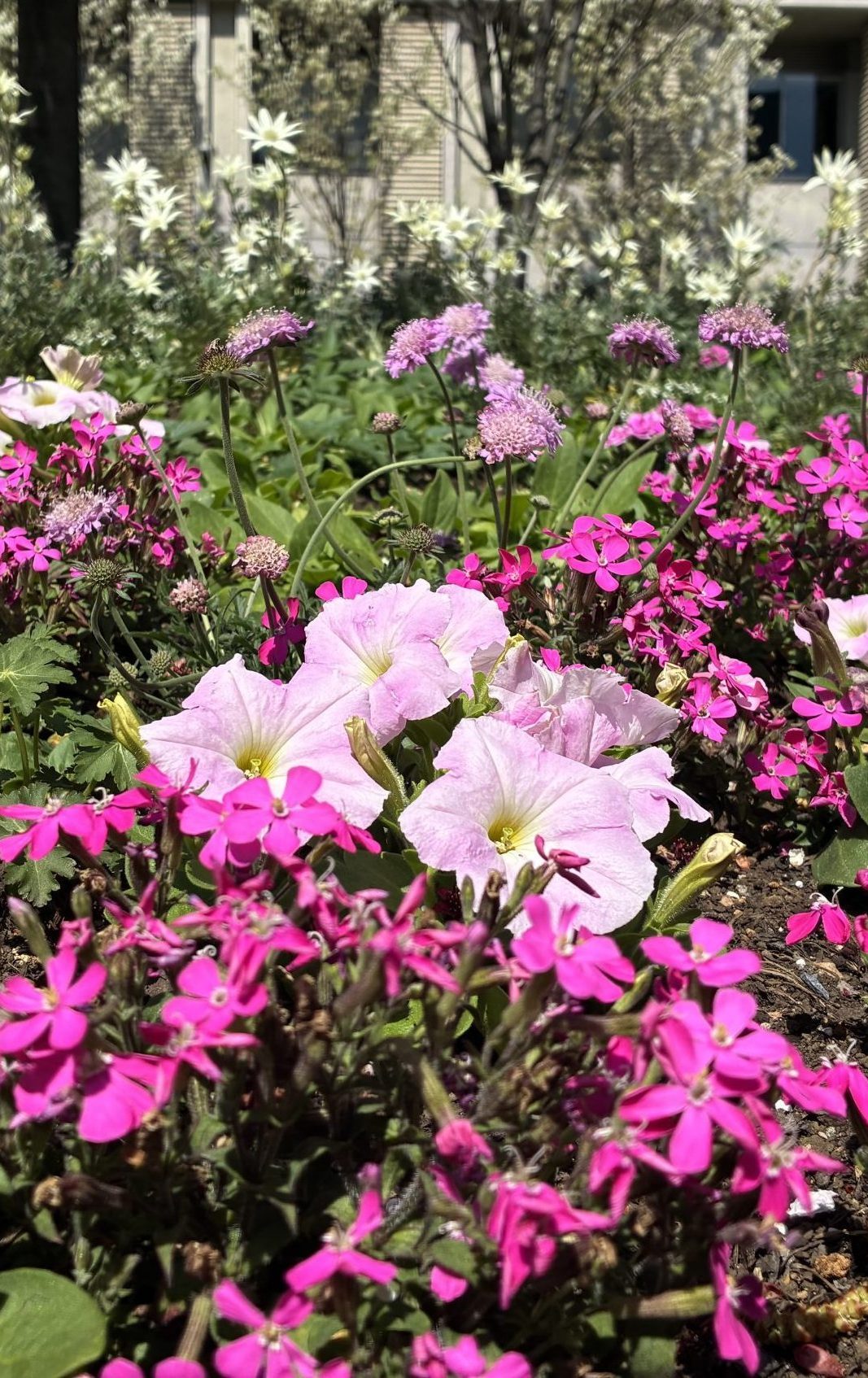 メインビジュアル③