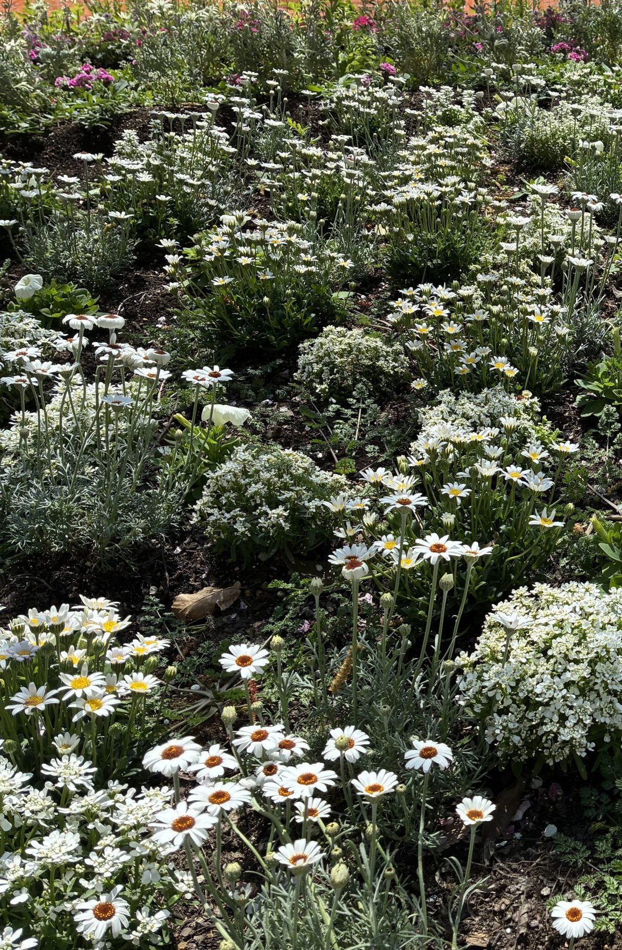 メインビジュアル⑥