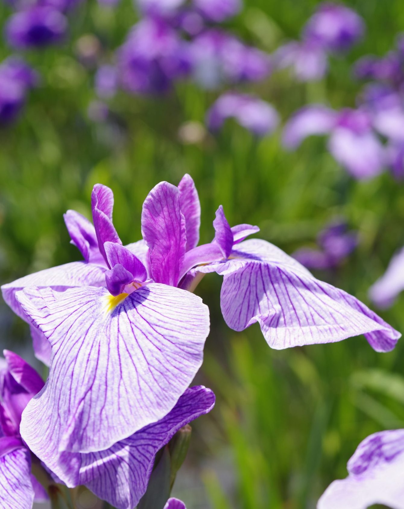 メインビジュアル⑤