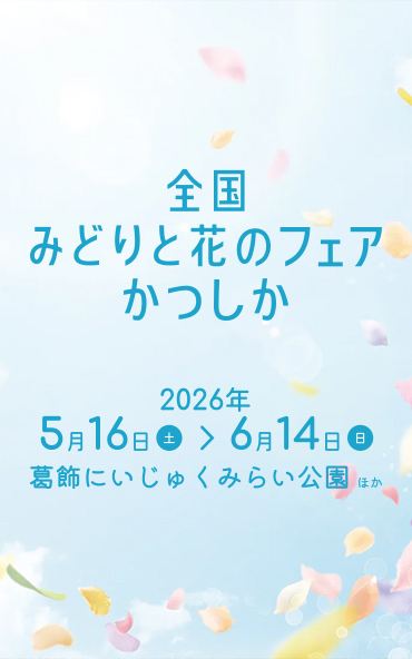 メインビジュアル①