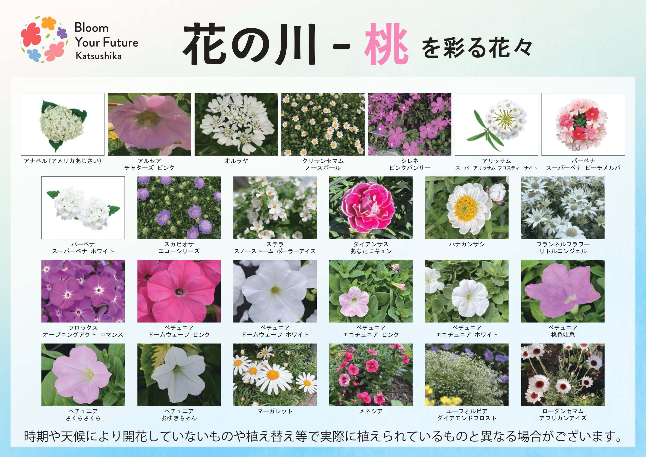 葛飾にいじゅくみらい公園】花装飾マップ | イベント情報 | 全国みどり