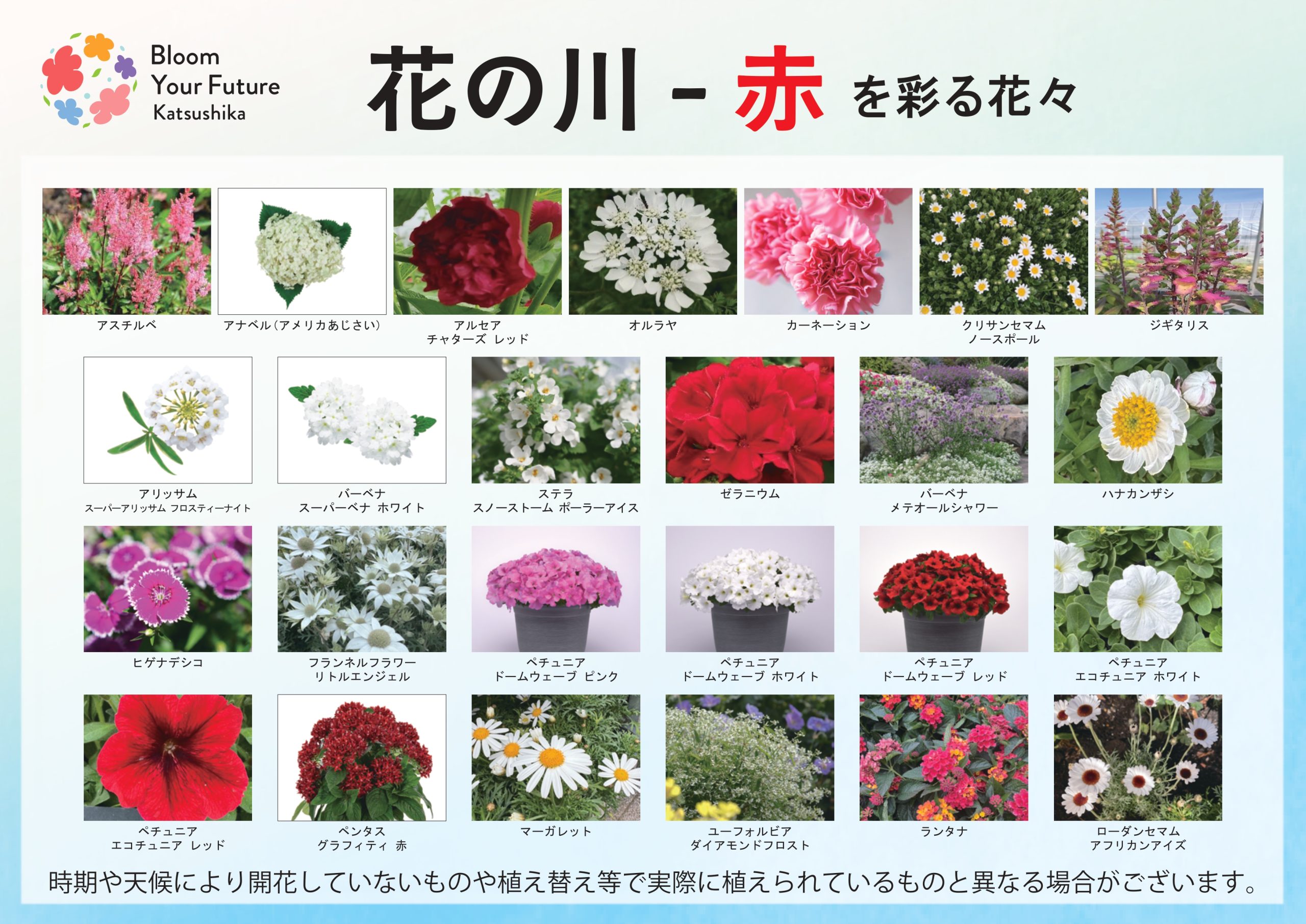 葛飾にいじゅくみらい公園】花装飾マップ | イベント情報 | 全国みどり