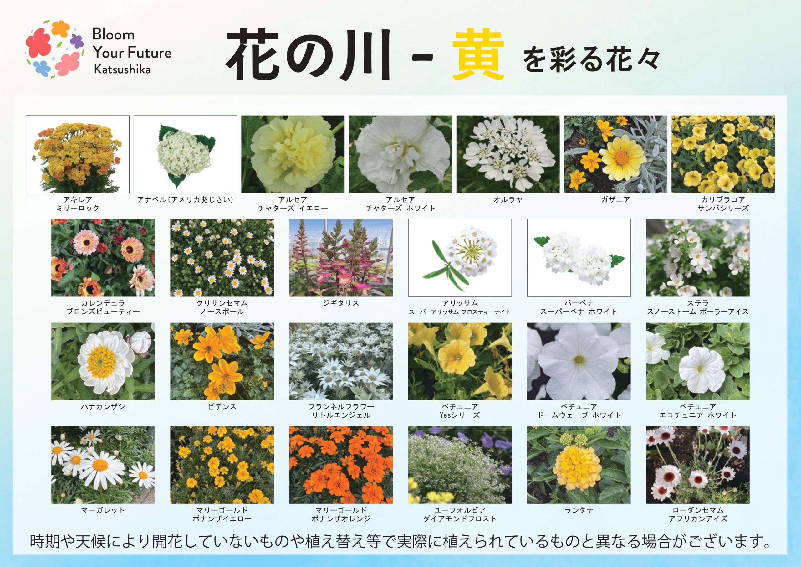 葛飾にいじゅくみらい公園】花装飾マップ | イベント情報 | 全国みどり