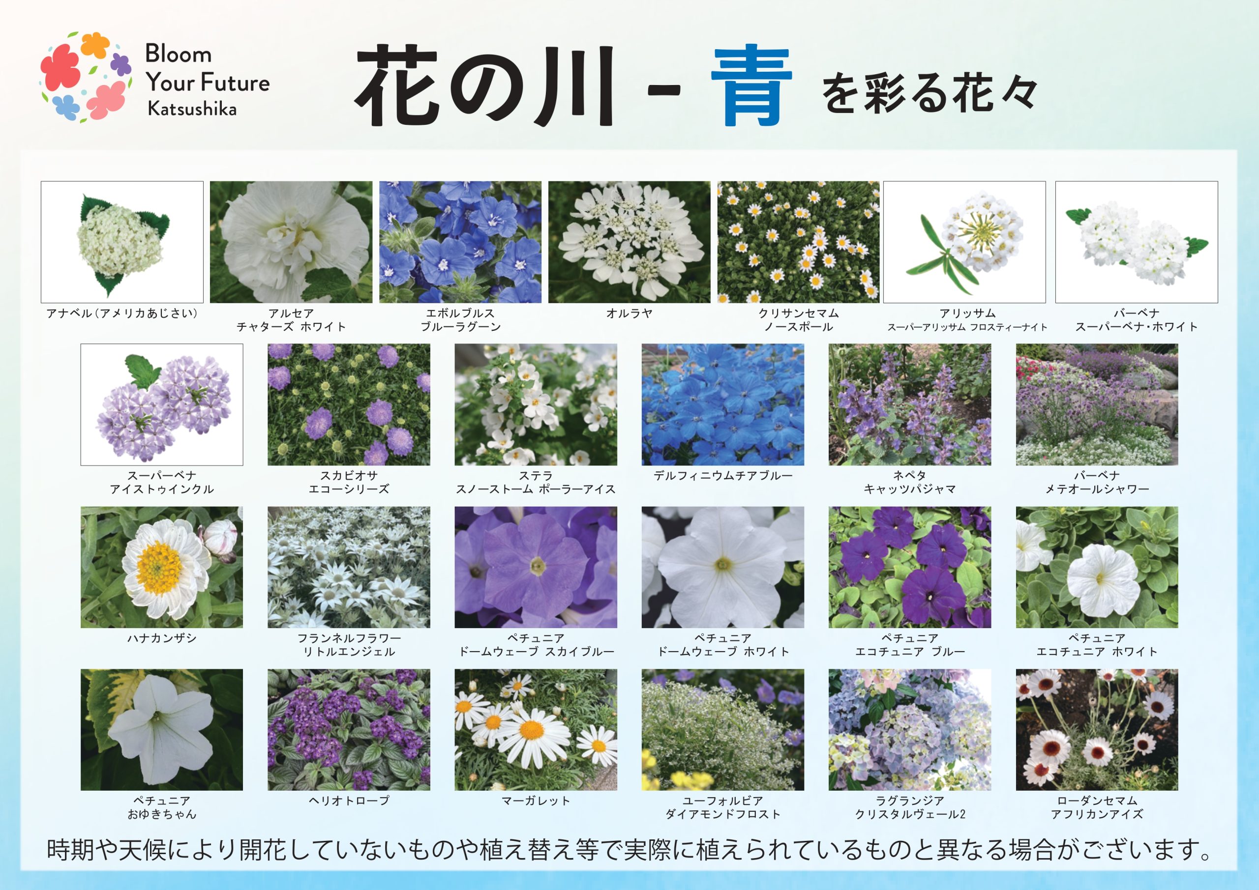 葛飾にいじゅくみらい公園】花装飾マップ | イベント情報 | 全国みどり