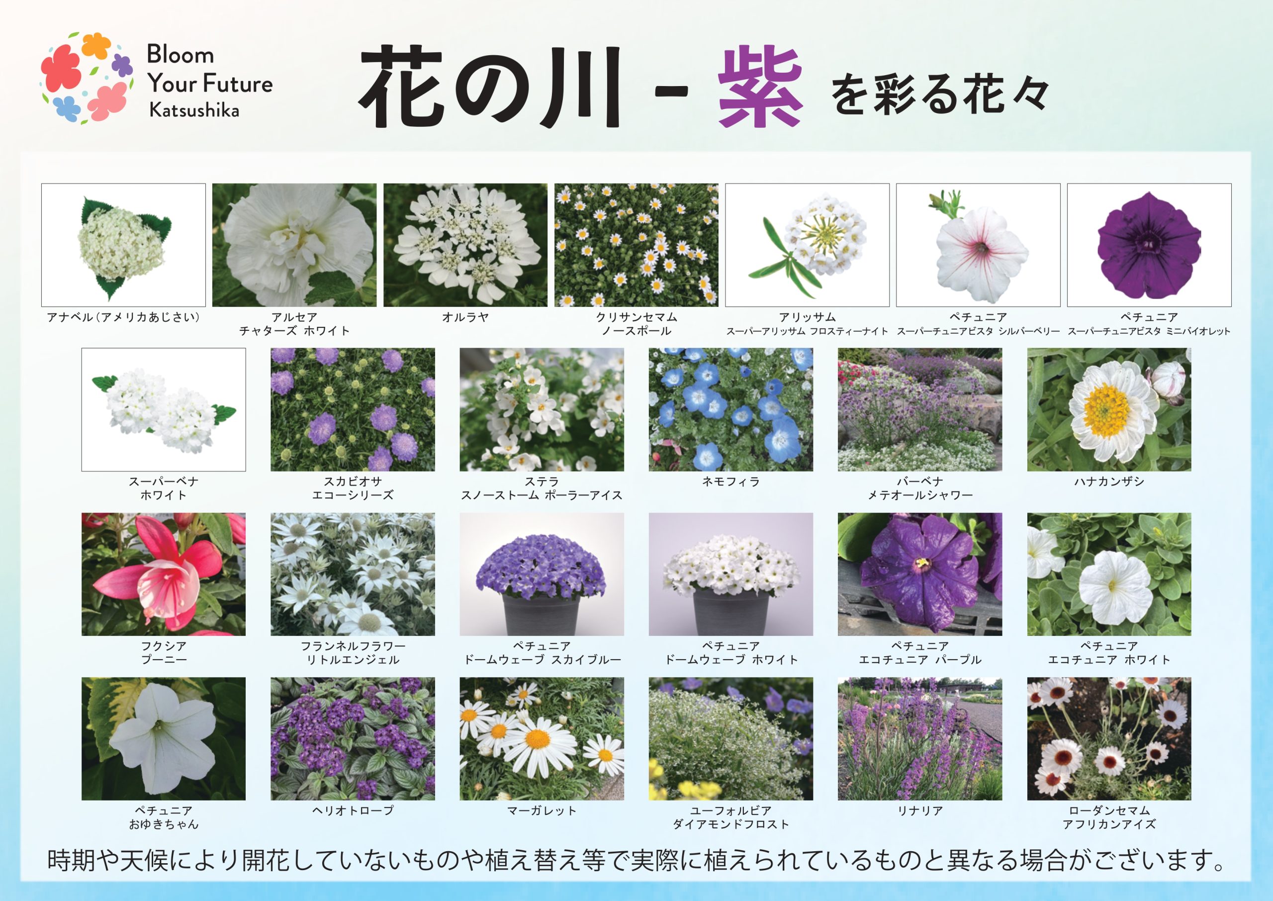 葛飾にいじゅくみらい公園】花装飾マップ | イベント情報 | 全国みどり