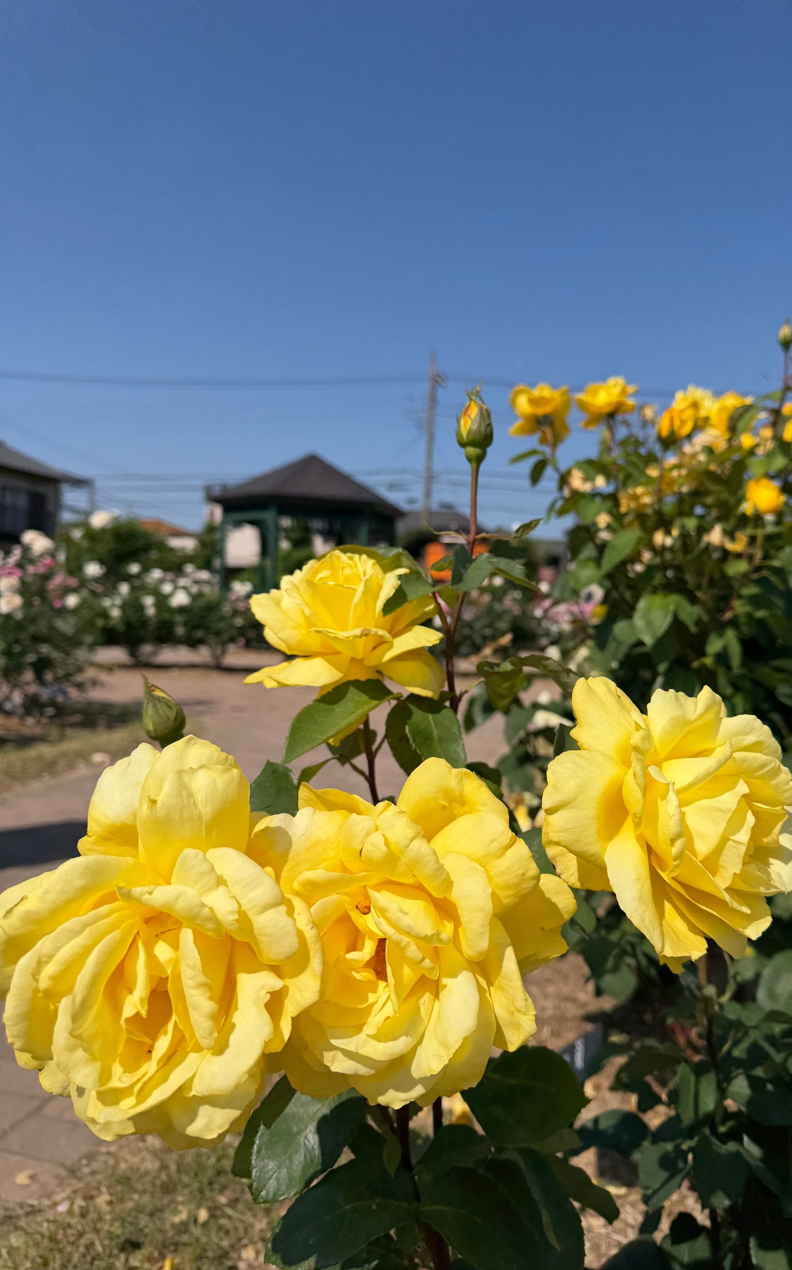 メインビジュアル⑥